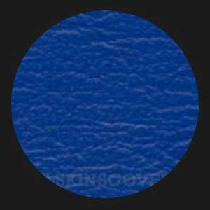 Wheelskins Cobalt Color